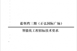 正弘国际广场智能化工程招标技术要求（商业、办公、方案）