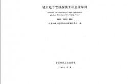 RISN-TG011-2010 城市地下管线探测工程监理导则