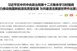 习近平：大力推动我国新能源高质量发展