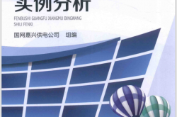 分布式光伏项目并网实例分析 (国网嘉兴供电公司著)