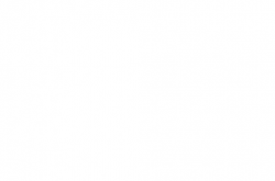 浙江省城市生命线安全工程燃气系统安全监测技术指南（试行）2025年5月