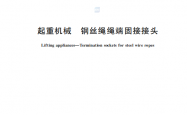 GBT 5973-2026 起重机械 钢丝绳绳端固接接头