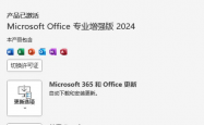 Microsoft Office 2024 全家桶 （Word+Excel+PPT+Outlook+OneNote+Access+Project等等）