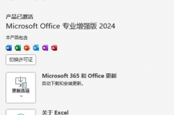 Microsoft Office 2024 全家桶 （Word+Excel+PPT+Outlook+OneNote+Access+Project等等）