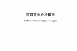 GB∕T 47285 - 2026   项目商业分析指南（高清正版）