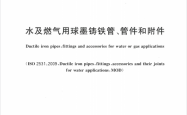 GB∕T 13295-2026 水及燃气用球墨铸铁管、管件和附件