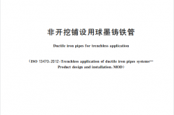 GBT 46199-2025 非开挖铺设用球墨铸铁管