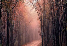 简明建筑设备安装施工手册 (郭爱云主编)