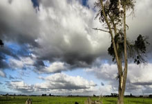 2018.3.18 深圳市社区健康服务机构设置标准